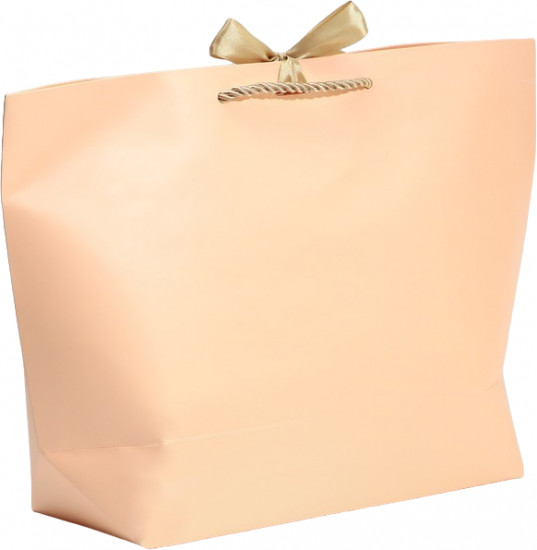 Пакет подарочный «Lucky present»