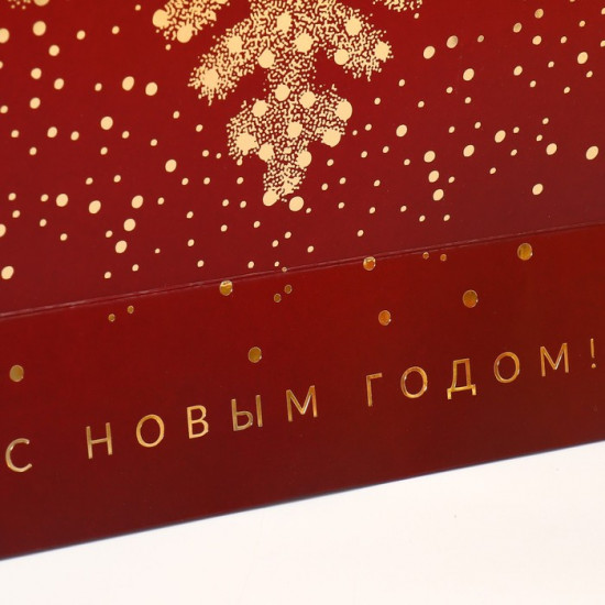 Пакет «Золотая снежинка»