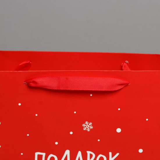 Пакет подарочный «Подарок от Деда Мороза»