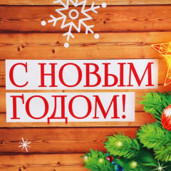 Пакет ламинированный вертикальный «В кругу семьи» - Фото 3