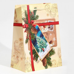 Пакет ламинированный «С Новым годом!» - Фото 1