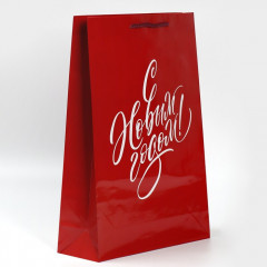 Пакет ламинированный вертикальный «НГ» - Фото 1