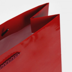 Пакет ламинированный вертикальный «НГ» - Фото 4