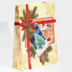 Пакет ламинированный вертикальный «С Новым годом!» - Фото 1