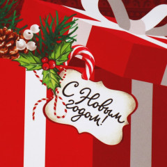 Пакет ламинированный «Для тебя» - Фото 3