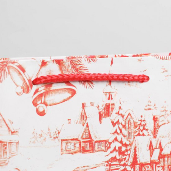 Пакет «Новогодняя пора»