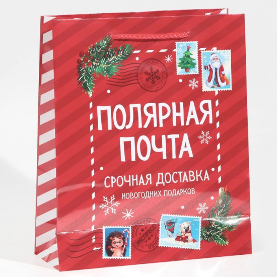 Пакет «Полярная почта»