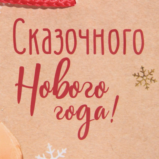 Пакет «Сказочного Нового года»