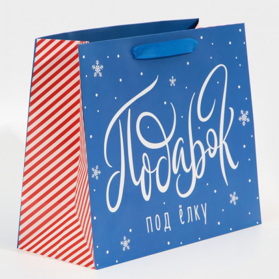 Пакет «Подарок под елку»