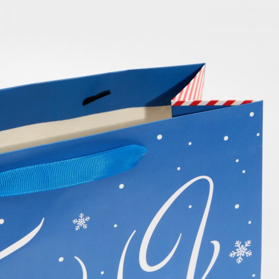 Пакет «Подарок под елку»