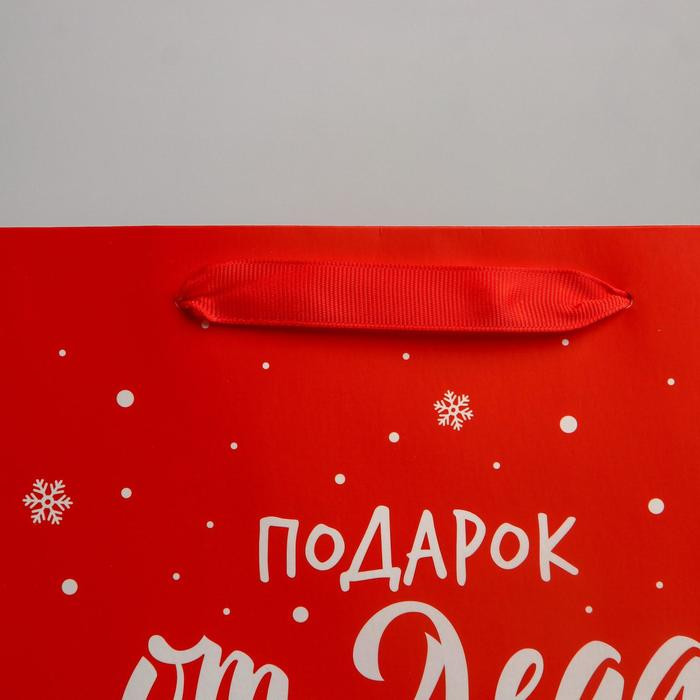 Пакет подарочный | Подарок от Деда Мороза | Дарите Счастье | Фото 2