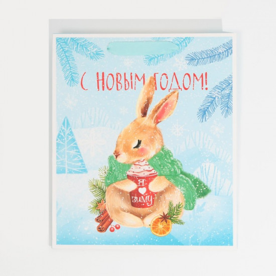 Пакет ламинированный