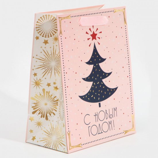 Пакет ламинированный «Салют»