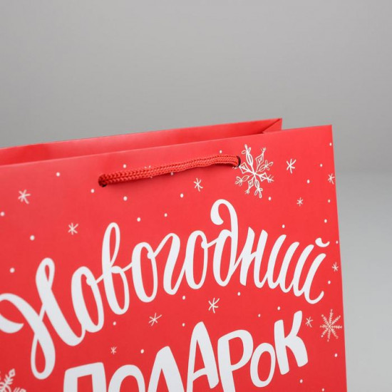 Пакет «Новогодний подарок»