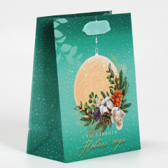 Пакет ламинированный «Северное сияние» - Фото 1