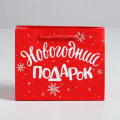 Пакет ламинированный «Новогодний подарок» - Фото 1