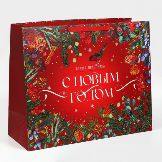 Пакет «Новогодняя сказка»