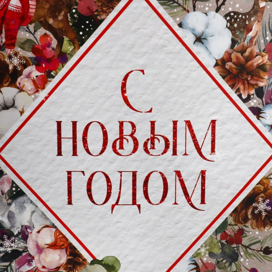 Пакет «С Новым годом!»