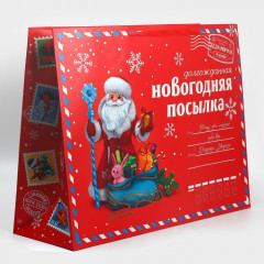 Пакет ламинированный горизонтальный «НГ посылка» - Фото 1