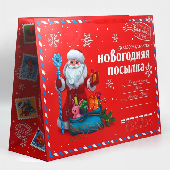 Пакет «НГ посылка»