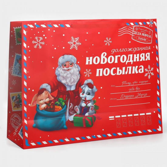 Пакет «НГ посылка»