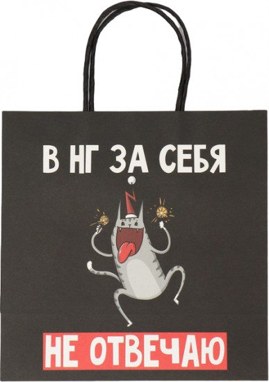 Пакет подарочный «Вообще не отвечаю»