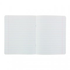 Тетрадь «Народная», 12 листов, узкая линейка, салатовый - Фото 2