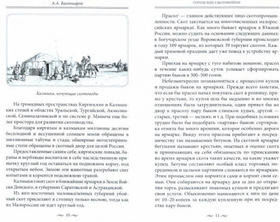 Брюхо Петербурга. Очерки столичной жизни