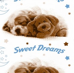 Детский комплект постельного белья «Сладкие сны» (арт. 5421/1, 1,5-спальный, бязь, 1 наволочка 70х70) - Фото 1