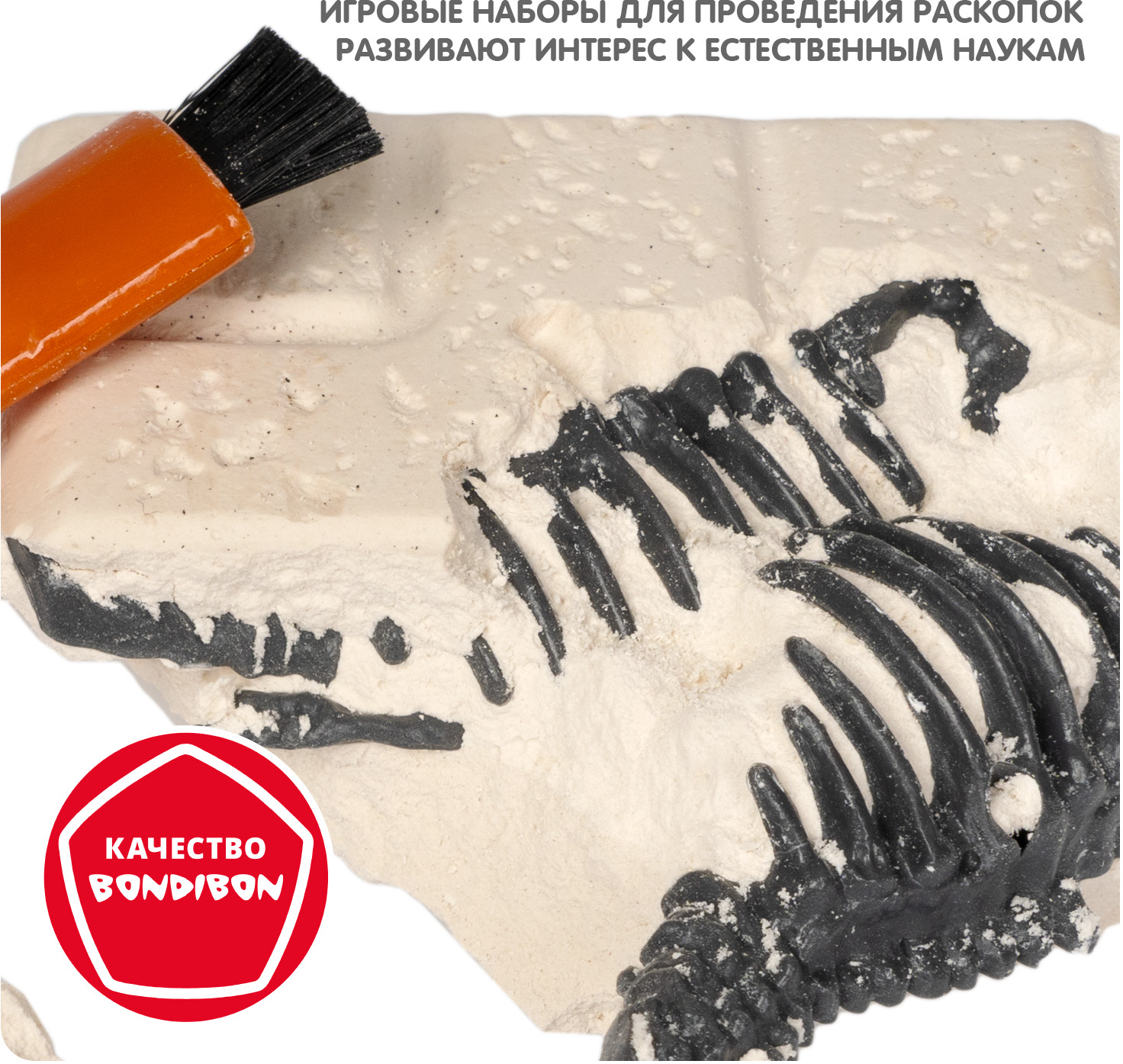 Набор палеонтолога «Динозавр тираннозавр» | Исторические раскопки Науки с Буки | Bondibon | Фото 14