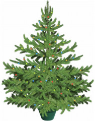 Набор для творчества «Самая компактная ёлка» - Фото 1