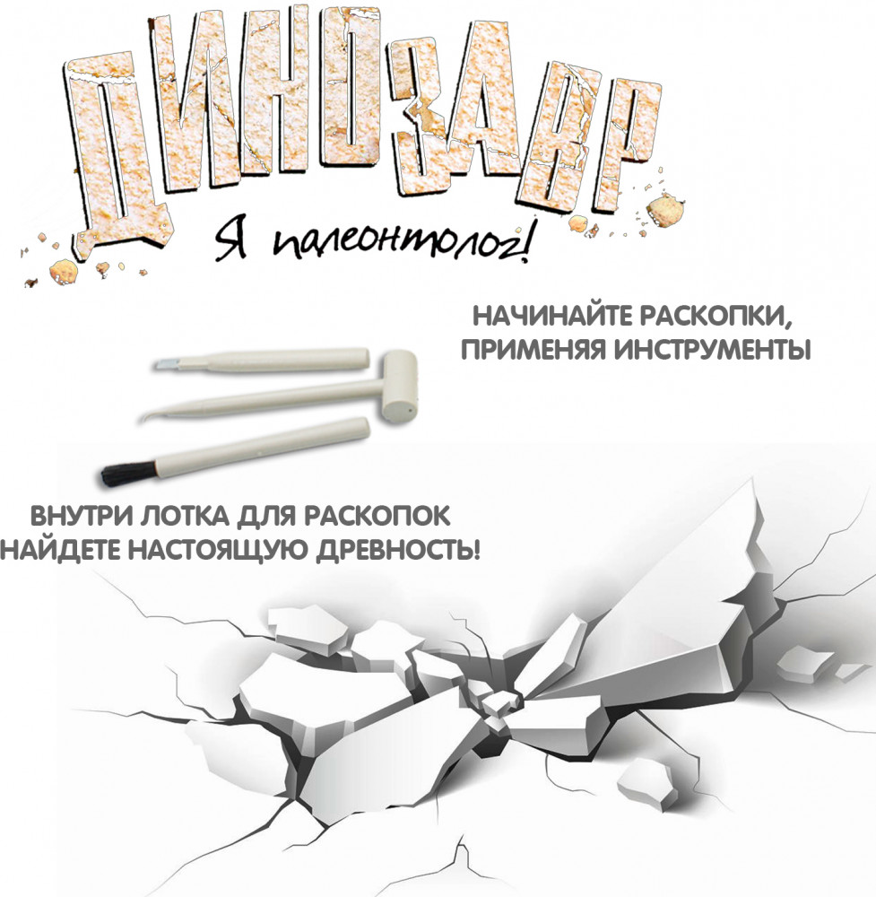Набор для опытов «Тираннозавр» | Исторические раскопки Науки с Буки | Bondibon | Фото 4