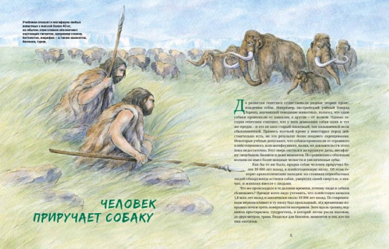 Ездовые собаки. Великий транспорт Севера