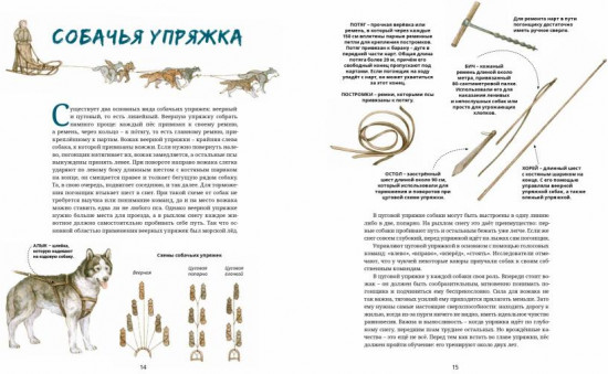 Ездовые собаки. Великий транспорт Севера