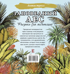 Заповедный лес. Рисунки для медитаций - Фото 1