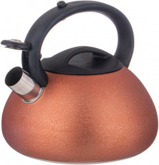 Чайник со свистком - Фото 1