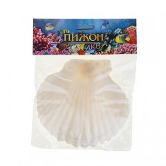 Ракушка декоративная Гребешок, 10-12 см - Фото 1