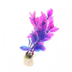 Растение аквариумное Людвигия, 10 см - Фото 1