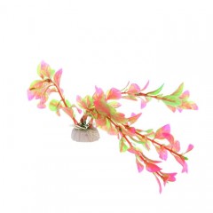 Растение аквариумное Лобелия - Фото 1