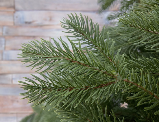 Ель искусственная «Дворянская»