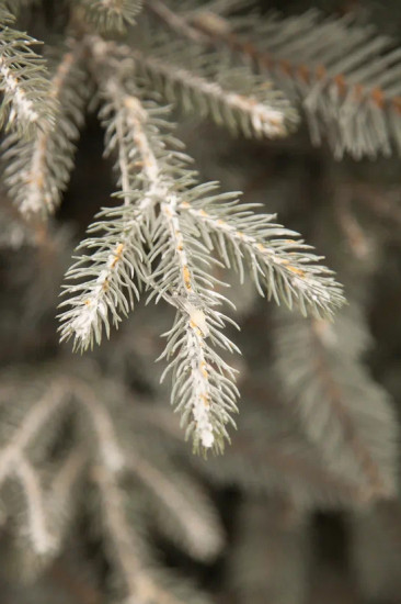 Ель искусственная «Леара»