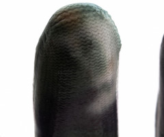 Перчатки садовые - Фото 5