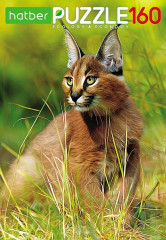 Пазл «Дикая кошка» - Фото 1