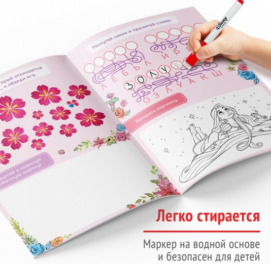 Напиши и сотри. Игры и задания. Принцессы