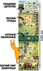 Плакат с окошками «Секреты леса» - Фото 1