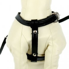 Комплект кожаный, поводок и шлейка регулируемая многоразмерная, цвет в ассортименте - Фото 4