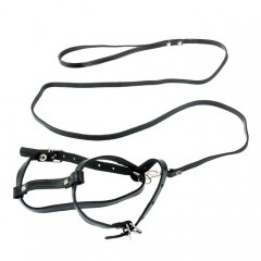 Комплект кожаный, поводок и шлейка регулируемая многоразмерная, цвет в ассортименте - Фото 3