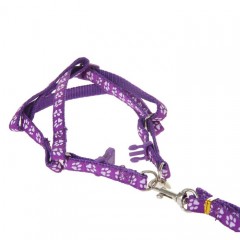 Комплект «Лапки», ширина 1 см, поводок 120 см, шлейка 26-41 см, фиолетовый - Фото 1