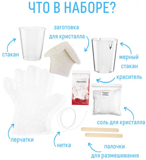 Набор для экспериментов «Новогодний домик»