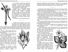 Четыре времени года. Книга для воспитателя детского сада. 1949 год - Фото 1